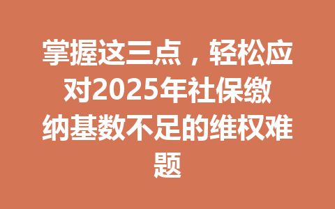 掌握这三点，轻松应对2025年社保缴纳基数不足的维权难题 三