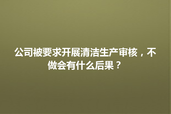 公司被要求开展清洁生产审核，不做会有什么后果？ 一