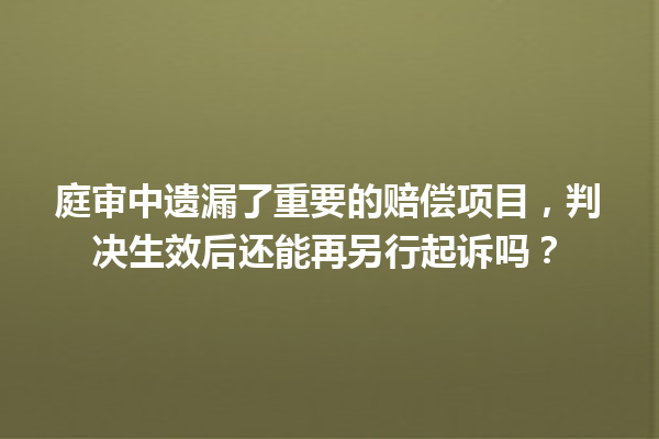 庭审中遗漏了重要的赔偿项目,判决生效后还能再另行起诉吗? 一