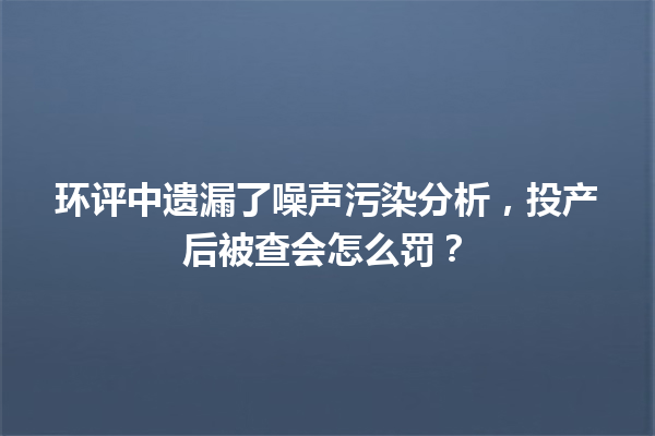 环评中遗漏了噪声污染分析，投产后被查会怎么罚？ 一