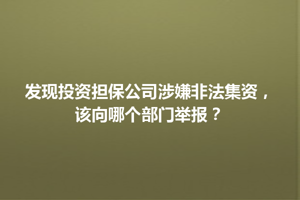 发现投资担保公司涉嫌非法集资，该向哪个部门举报？ 一