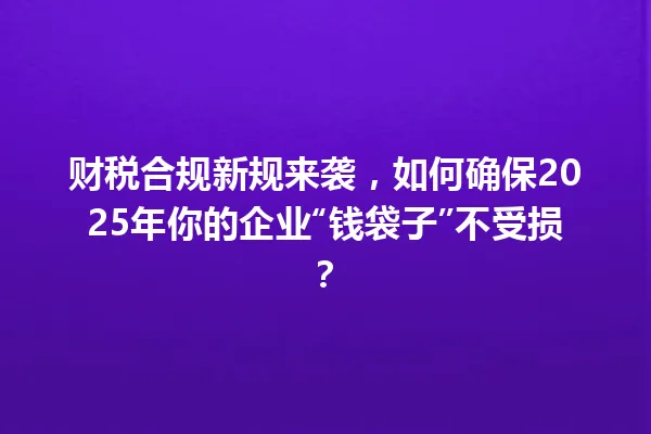 财税合规新规来袭，如何确保2025年你的企业“钱袋子”不受损？ 一